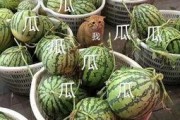 吃瓜娱乐头像图片,揭秘吃瓜娱乐头像背后的趣味世界